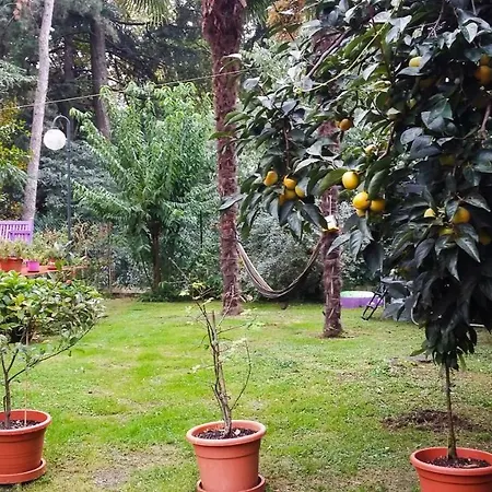 Apartment Adda River Casa Calolziocorte