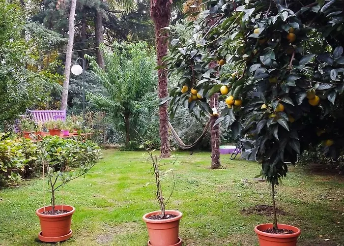 Apartment Adda River Casa Calolziocorte